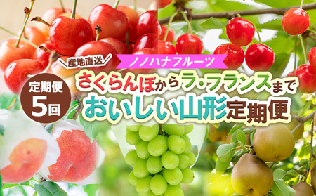 【定期便5回】ノノハナフルーツさくらんぼからラ・フランスまで 【産地直送】 おいしい山形定期便 【令和8年産先行予約】FS24-717 くだもの 果物 フルーツ 山形 山形県 山形市 2026年産