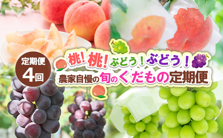 【定期便4回】桃！桃！ぶどう！ぶどう！農家自慢の旬のくだもの定期便 【令和8年産先行予約】FS24-720 くだもの 果物 フルーツ 山形 山形県 山形市 2026年産