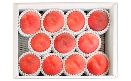 山形産 白桃 [柔らかくなる桃] 3kg(8～14玉) 秀品 品種おまかせ 【令和8年産先行予約】FS25-604 くだもの 果物 フルーツ 山形 山形県 山形市 2026年産