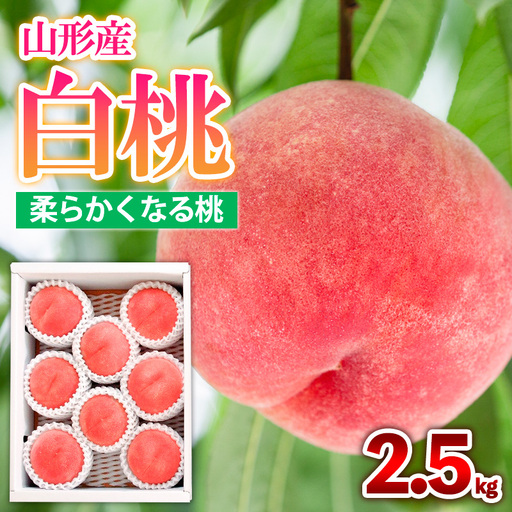 山形産 白桃  [柔らかくなる桃] 2.5kg(7～10玉) 秀品 品種おまかせ 【令和8年産先行予約】FS25-603 くだもの 果物 フルーツ 山形 山形県 山形市 2026年産