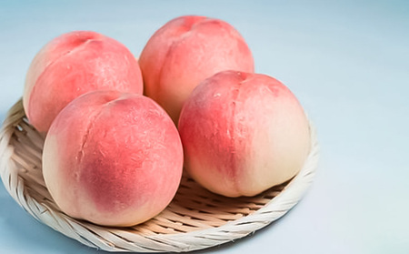 【定期便2回】山形厳選！夏と秋のフルーツ贅沢品(柔らかくなる白桃、シャインマスカット) 【令和8年産先行予約】FS25-643 くだもの 果物 フルーツ 山形 山形県 山形市 2026年産