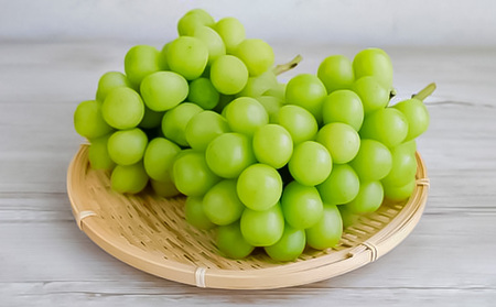 【定期便2回】山形厳選！夏と秋のフルーツ贅沢品(柔らかくなる白桃、シャインマスカット) 【令和8年産先行予約】FS25-643 くだもの 果物 フルーツ 山形 山形県 山形市 2026年産