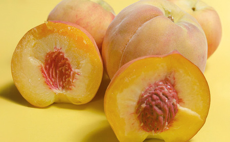 山形市産 黄桃 秀品 5kg (12~20玉) 柔らかくなる桃【令和8年産先行予約】FS24-759 くだもの 果物 フルーツ 山形 山形県 山形市 2026年産