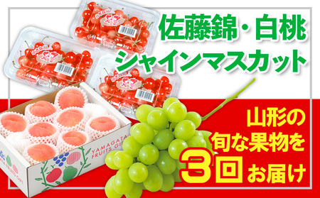 【定期便3回】☆フルーツ王国山形☆佐藤錦・白桃・シャインマスカット 【令和7年産先行予約】FS24-768