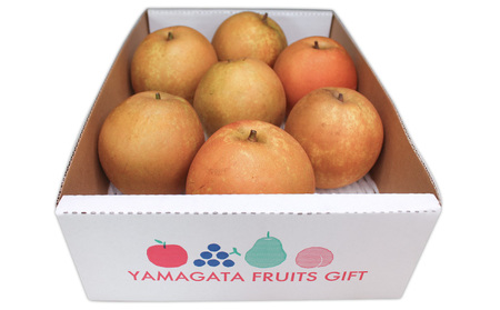 ☆フルーツ王国山形☆和梨 (甘太) 秀品 3kg【令和8年産先行予約】FS24-776 くだもの 果物 フルーツ 山形 山形県 山形市 2026年産