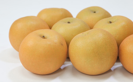 ☆フルーツ王国山形☆和梨 (王秋) 秀品 3kg【令和8年産先行予約】FS24-777 くだもの 果物 フルーツ 山形 山形県 山形市 2026年産