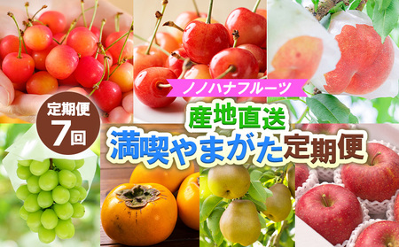 【定期便7回】ノノハナフルーツ　【産地直送】　満喫やまがた定期便 【令和7年産先行予約】FS24-790