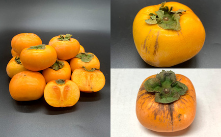 【定期便3回】★訳あり★秋の果実祭り定期便 色や形が訳ありでも十分美味しい！シャインマスカット・柿・りんご【令和8年産先行予約】FS24-814 くだもの 果物 フルーツ 山形 山形県 山形市 2026年産