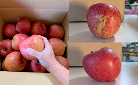 【定期便3回】★訳あり★秋の果実祭り定期便 色や形が訳ありでも十分美味しい！シャインマスカット・柿・りんご【令和8年産先行予約】FS24-814 くだもの 果物 フルーツ 山形 山形県 山形市 2026年産