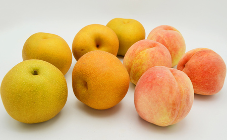 白桃と和梨の詰合せ 秀品 約3kg(6～12玉)【令和8年産先行予約】FS24-817 くだもの 果物 フルーツ 山形 山形県 山形市 2026年産