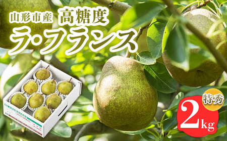山形市産【高糖度ラフランス】特秀品 2kg (5～8玉) 極上フルーツ  洋梨 山形【令和8年産先行予約】FS24-820