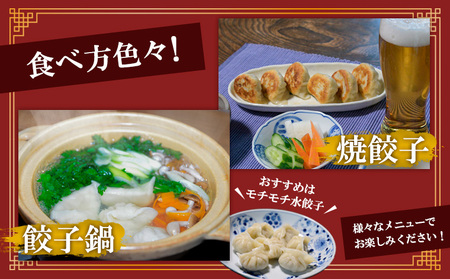 豚のジューシー餃子 9個入り×6袋(計54個) FY25-006