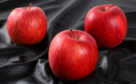 特秀品 山形県産 ふじりんご 3kg【令和8年産先行予約】FS25-734