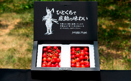 さくらんぼ 「紅秀峰」500g 特秀品 2Lサイズ以上 山形産【令和8年産先行予約】 FS25-926