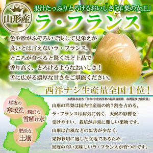 ☆フルーツ王国山形☆ りんご (サンふじ)1.5kg・ラフランス詰合せ 秀品 1.5kg (計約3kg) FY25-061