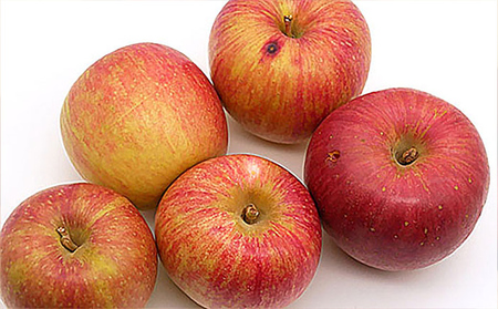 【家庭用】ふじりんご 優品 約5kg入り【令和8年産先行予約】FS25-760