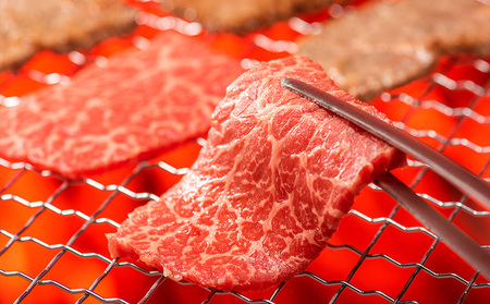 山形牛 モモ・カルビ 焼肉用 1kg (500g×2P) FY25-070