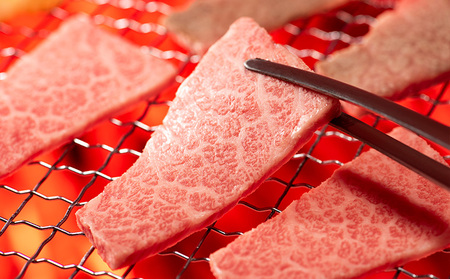 山形牛 モモ・カルビ 焼肉用 1kg (500g×2P) FY25-070