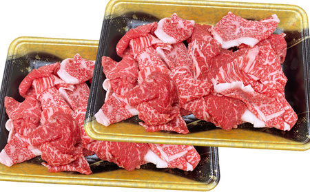 山形牛 切り落とし 1kg (500g×2P) FY25-071