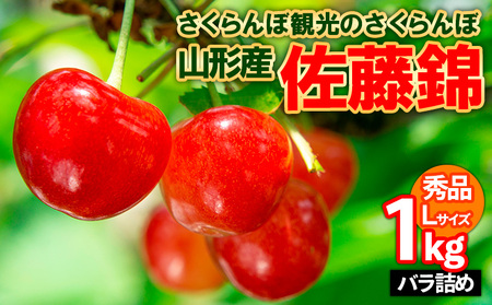 さくらんぼ観光のさくらんぼ 佐藤錦 L 1kg バラ詰め FY25-102