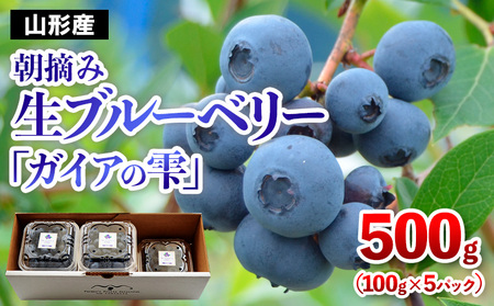 山形の朝摘み生ブルーベリー「ガイアの雫」500g(100g×5パック) 【令和8年産先行予約】FS25-705 くだもの 果物 フルーツ 山形 山形県 山形市 2026年産