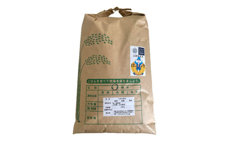 【令和7年産米 先行予約】山形市村木沢産 はえぬき(玄米) 20kg(10kg×2)【10月下旬発送開始】 FY25-123