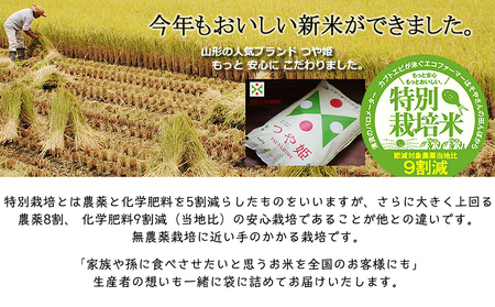 令和7年度産 山形産 「つや姫」5kg (精米) 特別栽培米 8割減農薬・9割減化学肥料（当地比）【カブトエビが泳ぐほそやさんの田んぼから】微生物を活性化させるワーコム栽培 FY25-125
