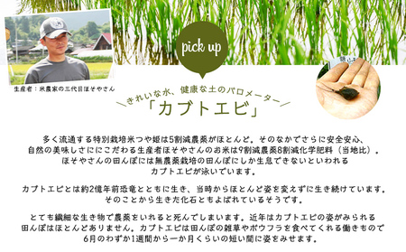 令和7年度産 山形産 「つや姫」5kg (精米) 特別栽培米 8割減農薬・9割減化学肥料（当地比）【カブトエビが泳ぐほそやさんの田んぼから】微生物を活性化させるワーコム栽培 FY25-125