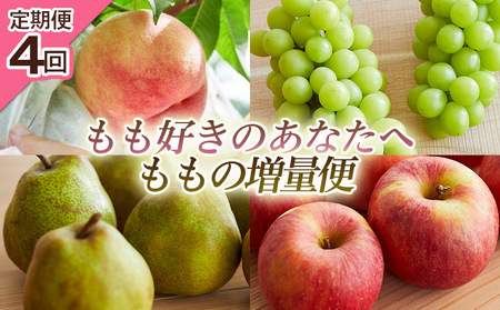 【定期便4回】もも好きのあなたへ ももの増量便 FY25-220