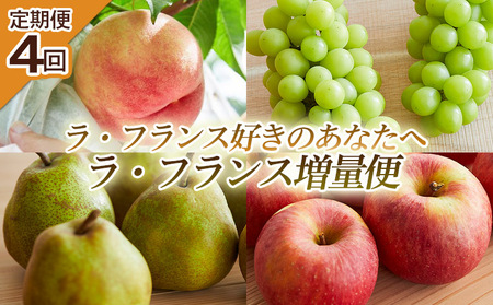 【定期便4回】ラ・フランス好きのあなたへ ラ・フランス増量便 FY25-222