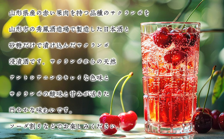 山形 赤い果実 さくらんぼ(リキュール) 500ml ×1本 FY25-248