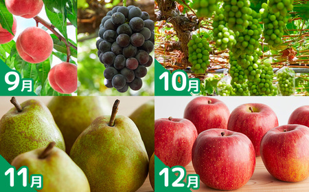 【定期便12回】老舗やまや園のうんまい山形１年間定期便 FY25-255