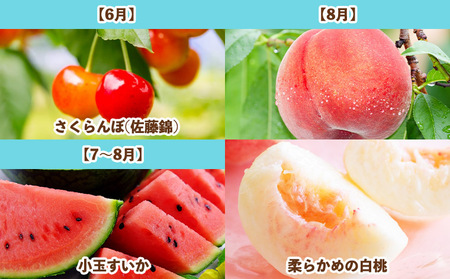 【定期便7回】旬です!YAMAGATA*FRUIT FY25-285