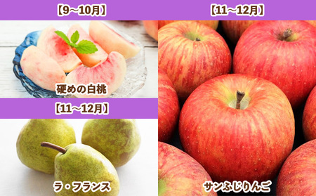 【定期便6回】フルーツBOX -定期便 6回- FY25-287