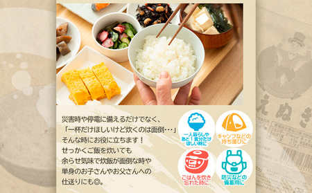 【令和7年産】山形県 山形市産 はえぬき パックライス 180g×48パック 5営業日以内発送 [10月以降発送開始] FY25-306