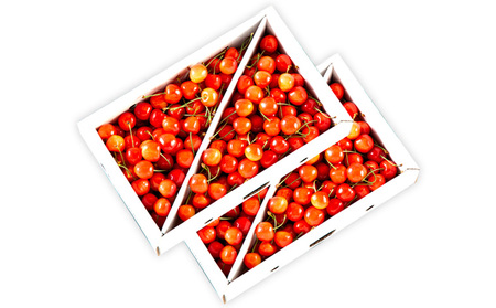 【ご家庭みんなで楽しめる!2kg】山形のさくらんぼ 佐藤錦 2kg Lサイズ以上 バラ詰 (1kg×2箱) 【令和8年産先行予約】FS25-011