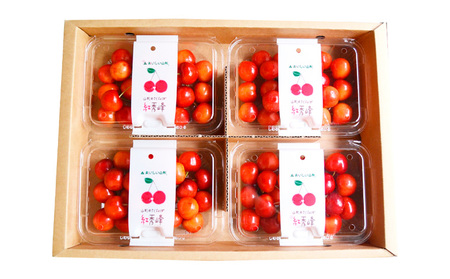 山形のさくらんぼ 紅秀峰 720g Lサイズ以上(180g×4パック) 【令和8年産先行予約】FS25-012