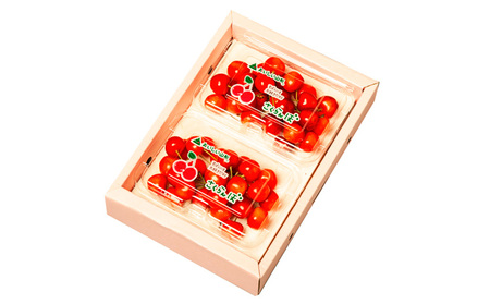 山形のさくらんぼ 大将錦 360gLサイズ以上 (180g×2パック) 【令和8年産先行予約】FS25-015