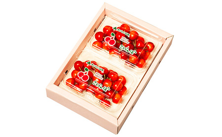 山形のさくらんぼ 佐藤錦 360g Lサイズ以上 (180g×2パック) 【令和8年産先行予約】FS25-023