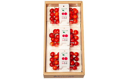 山形市産 さくらんぼ(紅秀峰)L 540g(180g×3) 【令和8年産先行予約】FS25-029