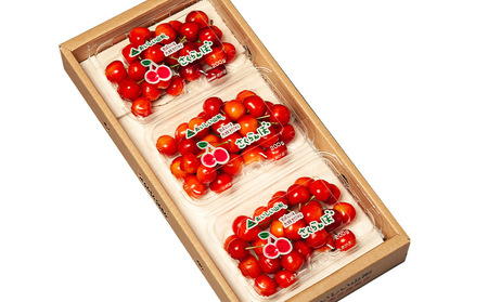 山形市産 さくらんぼ(佐藤錦)Ｌ 540g(180ｇ×3) 【令和8年産先行予約】FS25-030