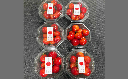 大粒のさくらんぼ「やまがた紅王」3Lサイズ 600g (100×６パック入り) 【令和8年産先行予約】FS25-032