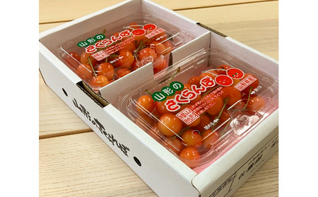 山形市産さくらんぼ【佐藤錦】Lサイズ 400g(200g×2パック) 【令和8年産先行予約】FS25-035
