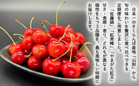 【定期便3回】さくらんぼ味くらべ 山形が誇る3種のさくらんぼ定期便 －佐藤錦・紅秀峰・紅王－ 【令和8年産先行予約】FS25-039