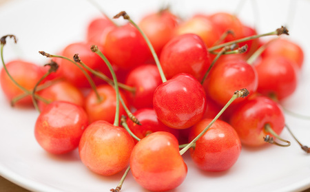 さくらんぼ(佐藤錦) Lサイズ 540g(180g×3パック) 【令和8年産先行予約】FS25-045