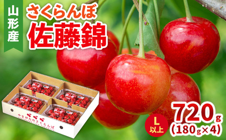 さくらんぼ(佐藤錦) Lサイズ 720g(180g×4パック) 【令和8年産先行予約