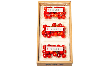 山形市産 さくらんぼ(やまがた紅王)2L以上 600g(200g×3) 【令和8年産先行予約】FS25-051