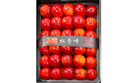 さくらんぼ 紅秀峰 ”特選手詰め” 2Lサイズ 化粧箱入り(約500g) 【令和8年産先行予約】FS25-057