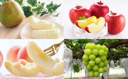 【定期便4回】☆フルーツ王国山形☆『白桃、シャインマスカット、ラ・フランス、りんご』 FY25-307