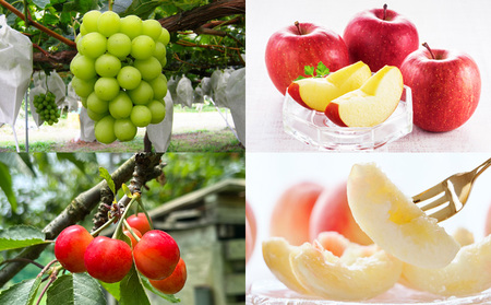 【定期便4回】☆フルーツ王国山形☆『佐藤錦、白桃、シャインマスカット、りんご』 FY25-309